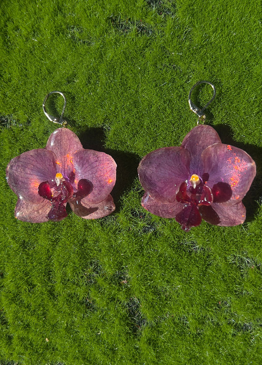Heat Waves Real Orchid Earrings