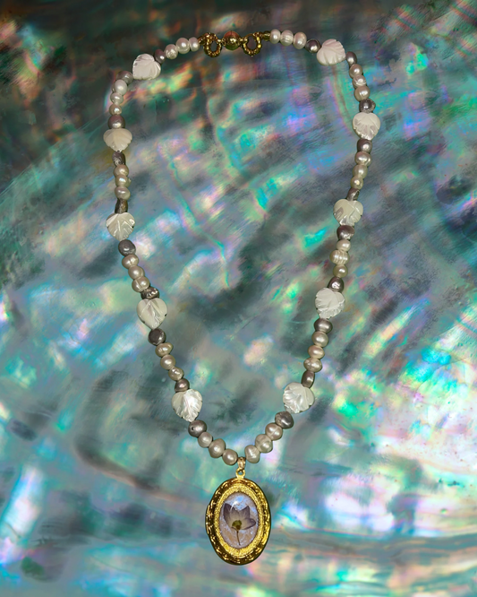 Out of your Shell Locket
