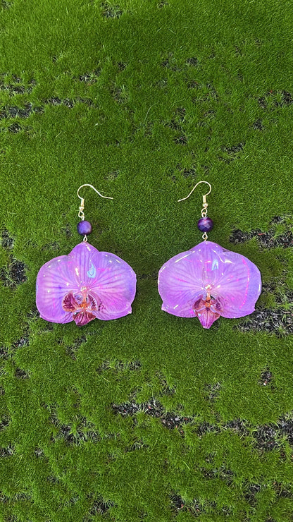 Let Your Light Shine Real Orchid Earrings