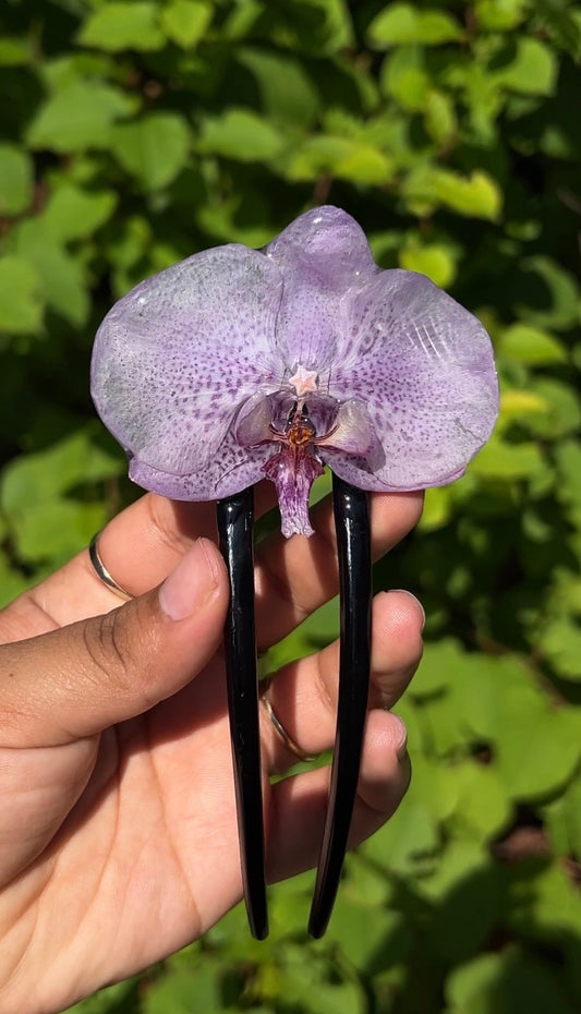Star of the Show Real Orchid Hair Pin (Sm)