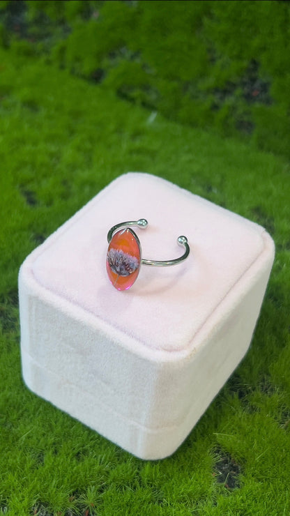 Cotton Candy Real Flower Ring
