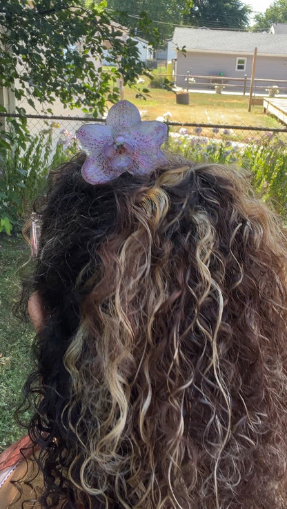 Fairy Angel Real Orchid Hair Pin (Med)