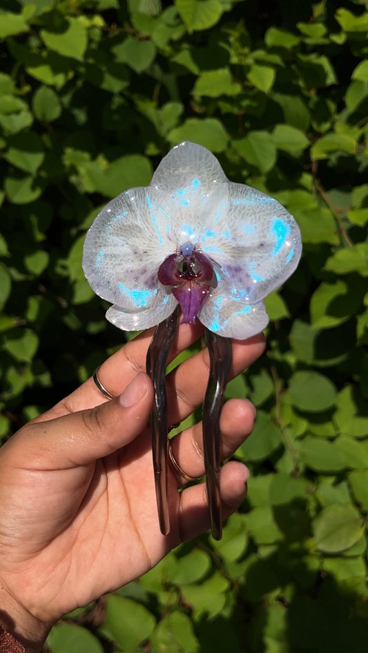 Cooler Than You Real Orchid Hair Pin (Lg)