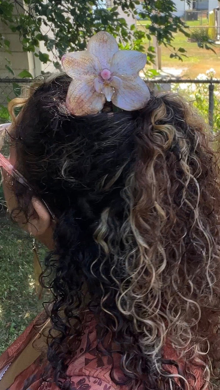 Flora Real Orchid Hair Pin (Lg)
