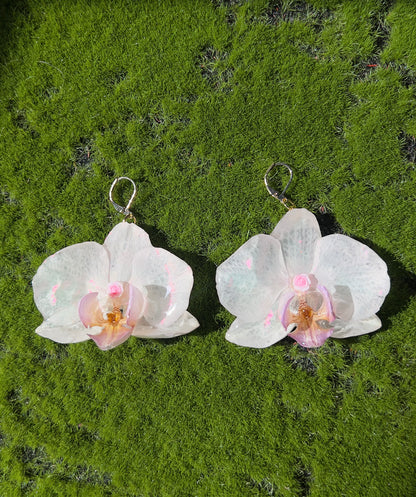 At the Altar Real Orchid Earrings