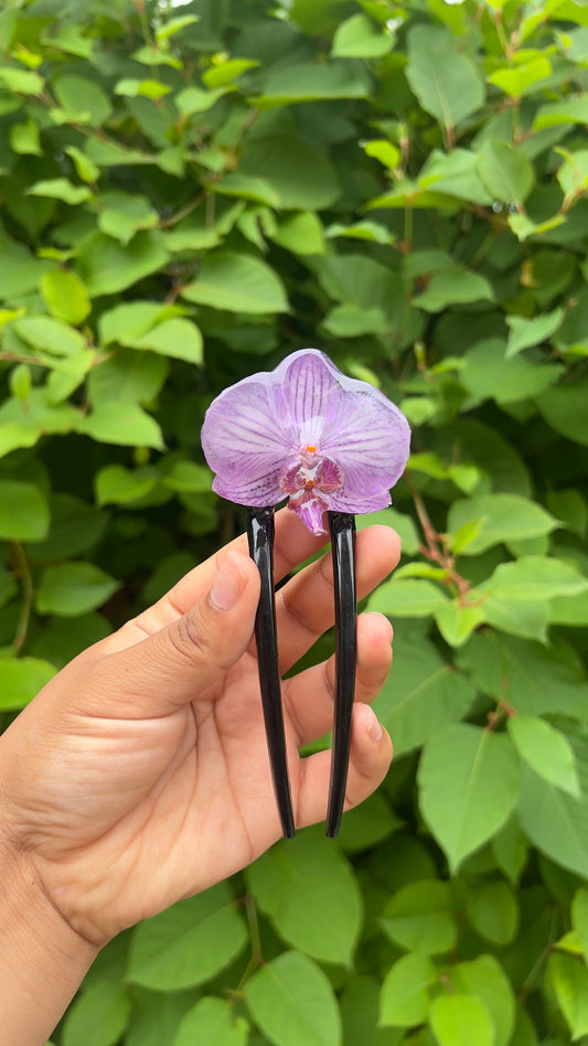 Between the Lines Real Orchid Hair Pin (Sm)