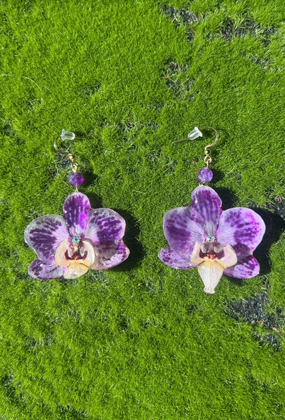 Amethyst Sun Real Orchid Earrings