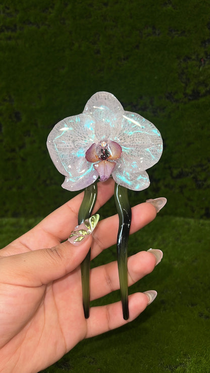 Sea Moss Real Orchid Hair Pin