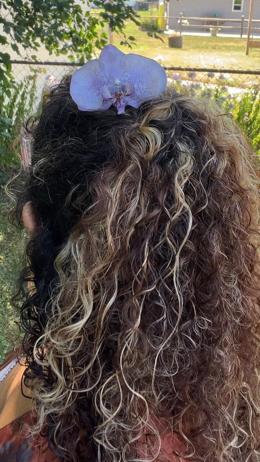 Star of the Show Real Orchid Hair Pin (Sm)