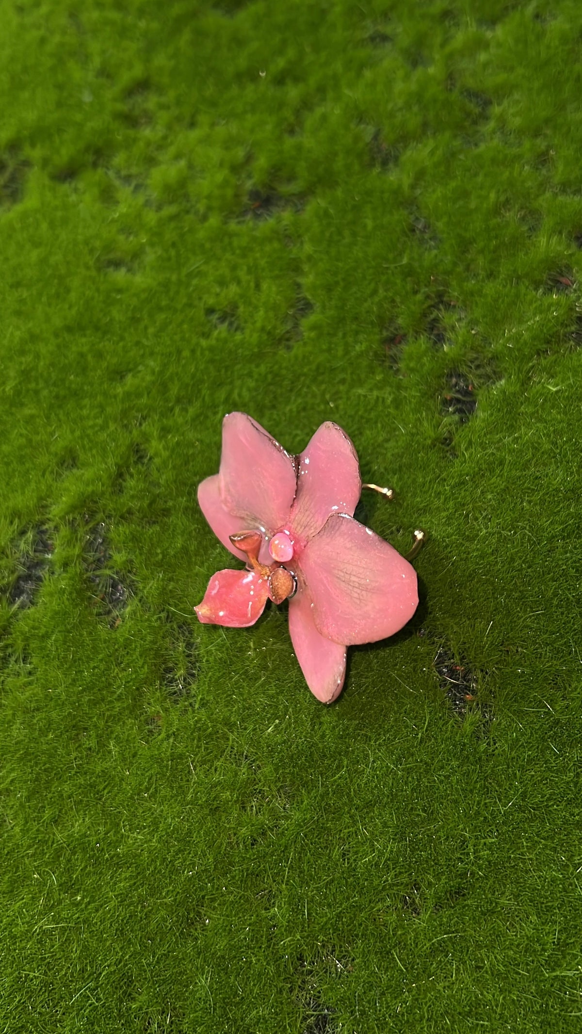 Pink Princess Real Orchid Ring