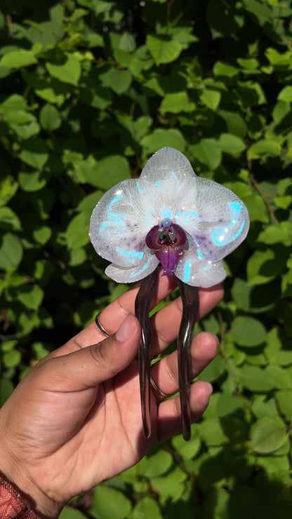 Cooler Than You Real Orchid Hair Pin (Lg)