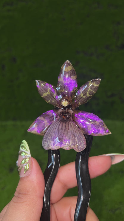 Out of this World Real Orchid Hair Pin