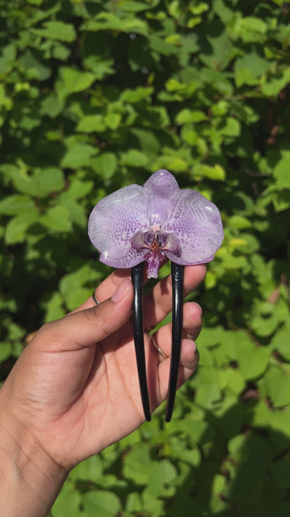 Star of the Show Real Orchid Hair Pin (Sm)
