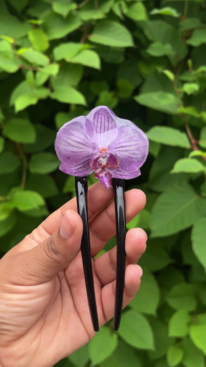 Between the Lines Real Orchid Hair Pin (Sm)