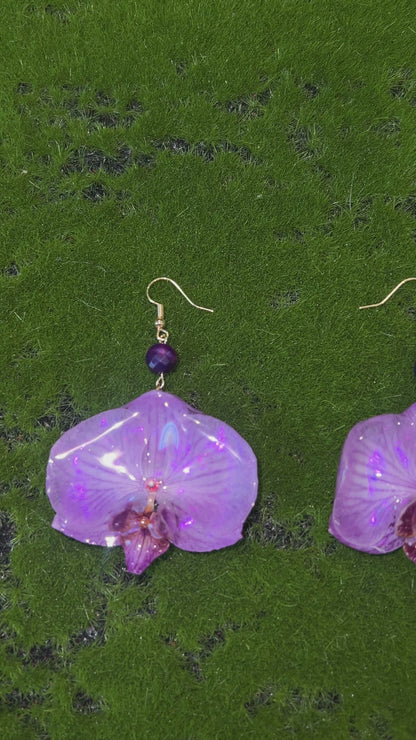 Let Your Light Shine Real Orchid Earrings