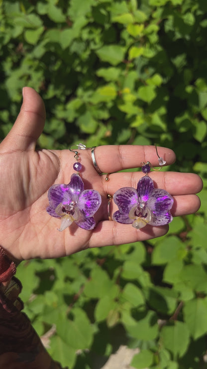Amethyst Sun Real Orchid Earrings