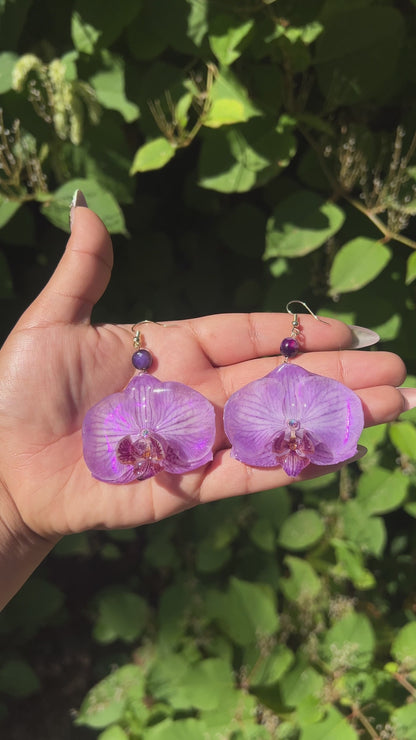 Let Your Light Shine Real Orchid Earrings