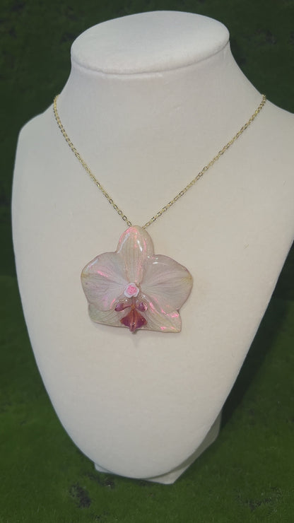 Orchid Rose Rays Real Orchid Necklace
