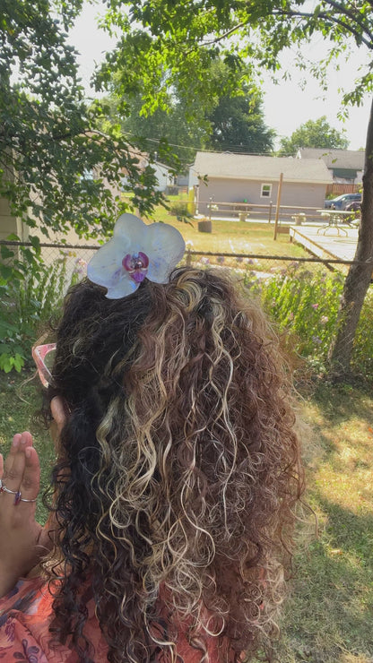 Cooler Than You Real Orchid Hair Pin (Lg)
