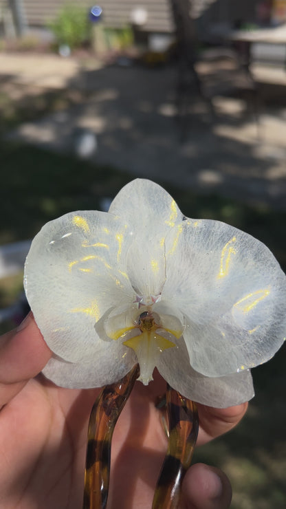 Sun ray Real Orchid Pin (Lg)