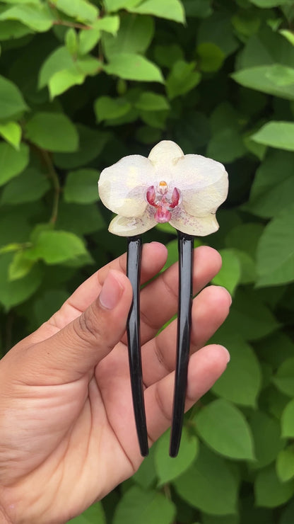 Raspberry Honey Drop Real Orchid Hair Pin (Sm)