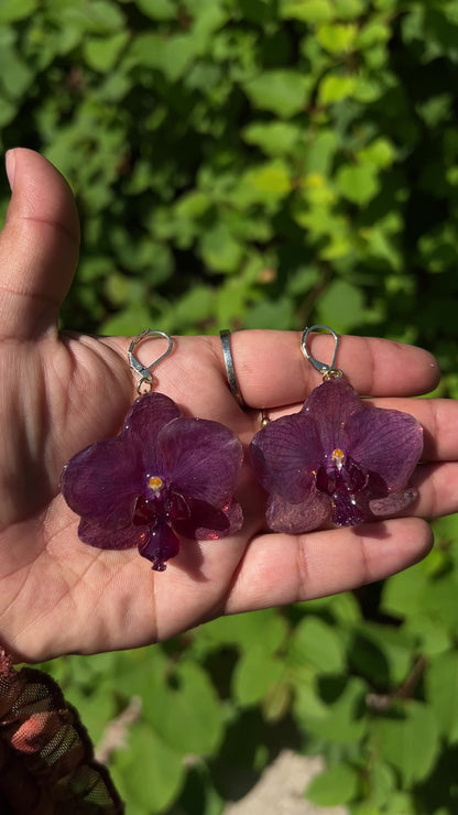 Heat Waves Real Orchid Earrings